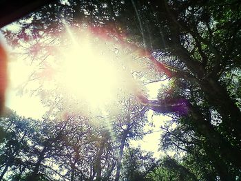 Low angle view of trees against sky