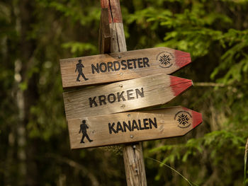 Close-up of information sign against trees