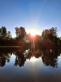 Sunlight streaming through trees by lake against sky