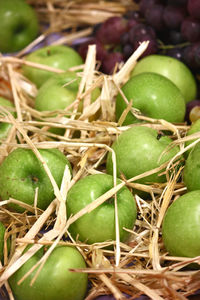 Close-up of fruits in basket