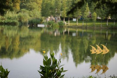 Scenic view of lake