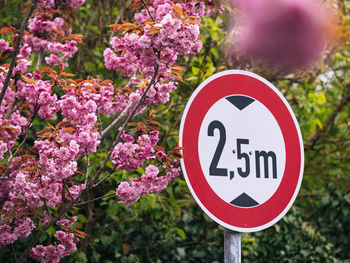 Close-up of stop sign on road