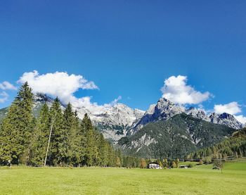 Panoramic view of trees on field against blue sky