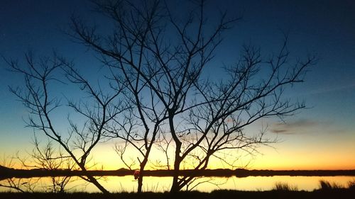 Silhouette bare tree against sky during sunset