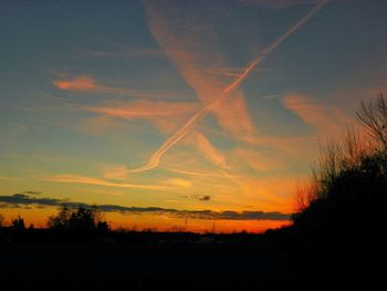 Silhouette of trees at sunset