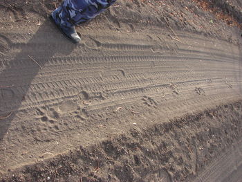 Low section of person on sand