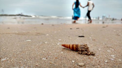 Low section of people walking on beach