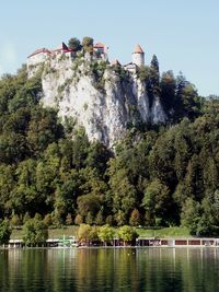 Tower on hill amidst trees