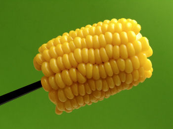 Close-up of corn cob on stick against green background