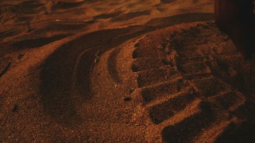 Close-up of tire track in sand