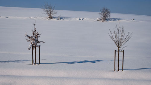 Bare tree on snow covered field against sky