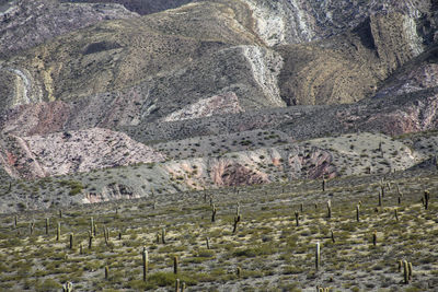 Scenic view of field and mountains