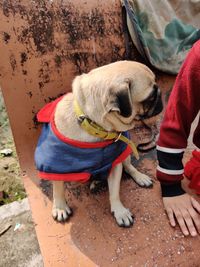 Low section of man with dog