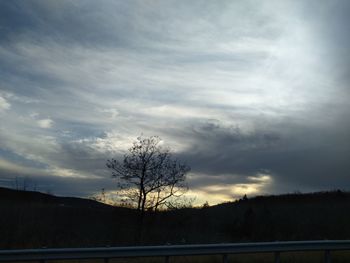 Silhouette bare trees on field against sky during sunset