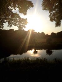 Sunlight streaming through silhouette trees at sunset