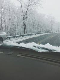 Snow covered trees on landscape