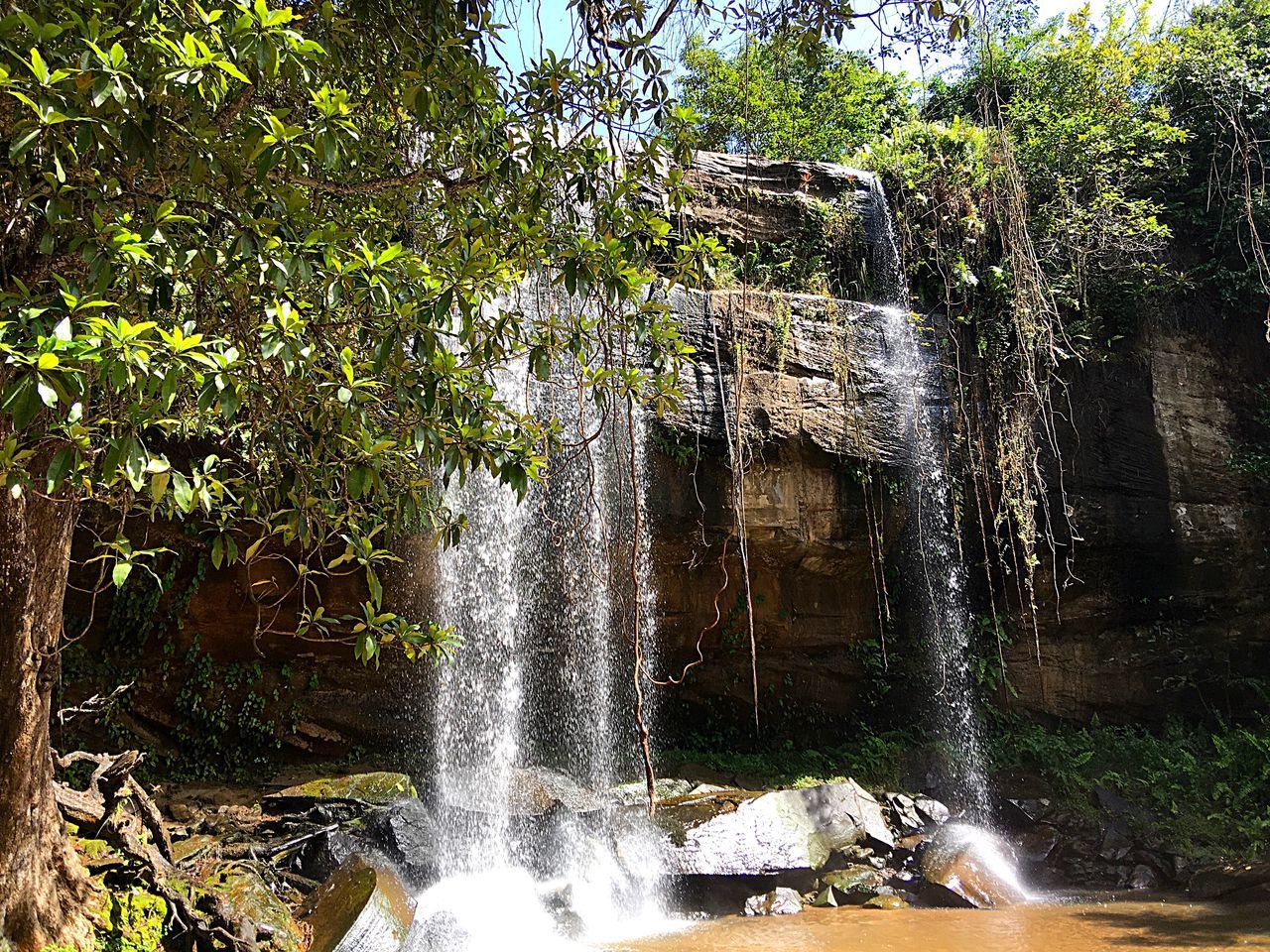 water, motion, tree, flowing water, waterfall, nature, flowing, growth, beauty in nature, forest, green color, scenics, plant, day, outdoors, idyllic, tranquility, no people, lush foliage, tranquil scene, non-urban scene, travel destinations, green