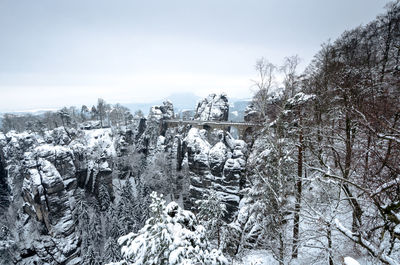 Snow covered plants against sky