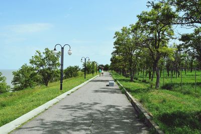 Road amidst trees against sky