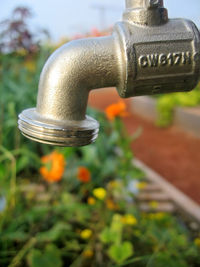 Close-up of faucet against blurred background