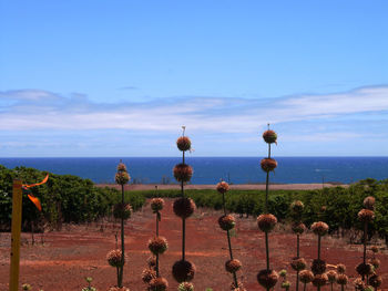 Scenic view of sea against blue sky