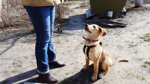 Low section of person with dog