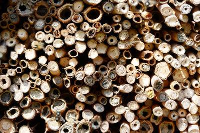 Full frame shot of logs in forest