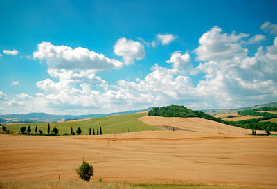 Scenic view of farm against sky