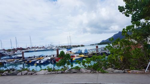 Boats moored at harbor against sky