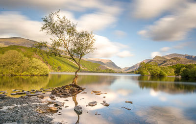 Scenic view of lake by trees against sky