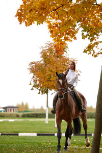 Rear view of woman riding horse on field