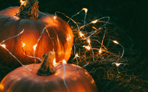 Close-up of pumpkin