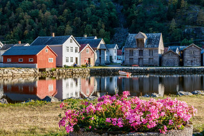 Flowering plants by lake and houses against buildings