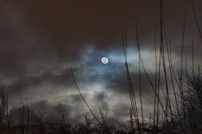 Close-up of moon at night