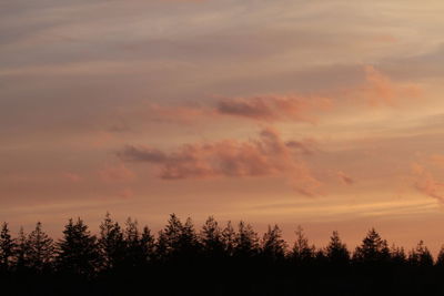 Silhouette trees against sky during sunset