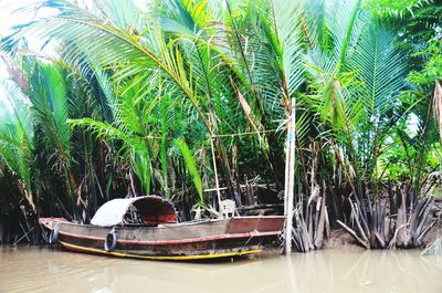 Man in boat against trees