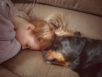 Dog sleeping on bed