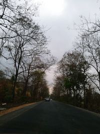 Road amidst trees against sky