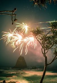 Firework display over sea against sky at night