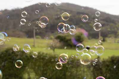 Close-up of bubbles against blurred background