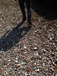 Low section of people standing on tiled floor