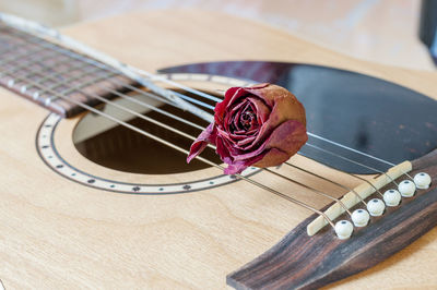 Close-up of dried rose on guitar