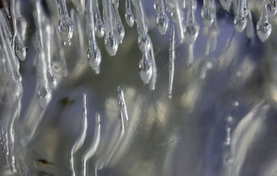 Full frame shot of frozen water