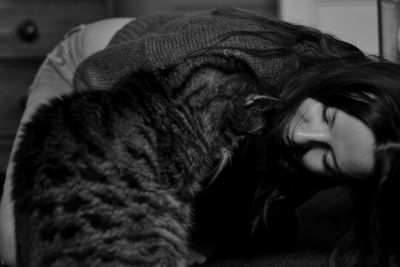 Close-up of dog sleeping