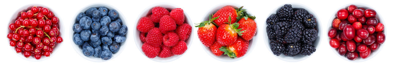 Close-up of various fruits against white background
