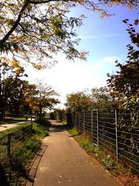 Footpath amidst trees against sky