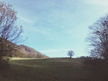 Scenic view of landscape against sky
