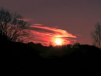 Silhouette trees against sky during sunset