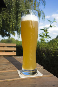 Close-up of beer glass on table