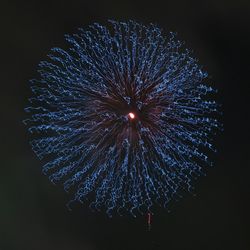 Low angle view of firework display at night